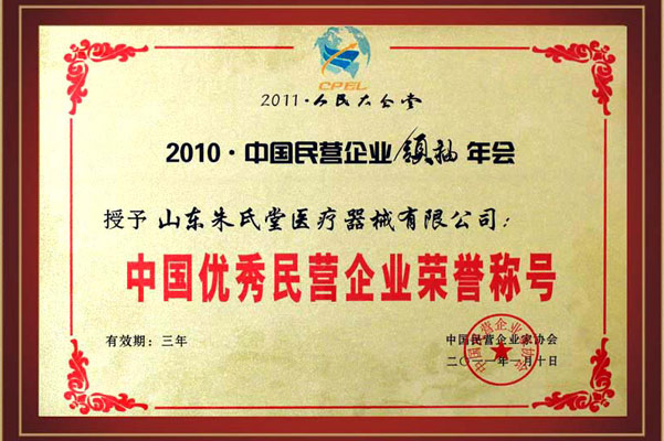 中国优秀民营企业荣誉称号